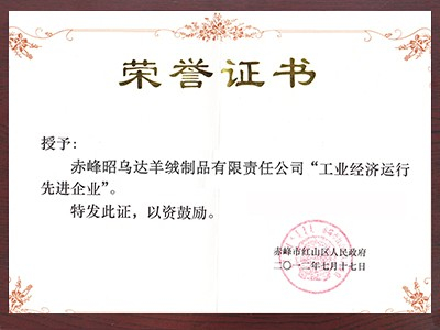 昭烏達羊絨：工業經濟先進企業